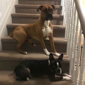 Meet your Posher, Maggie